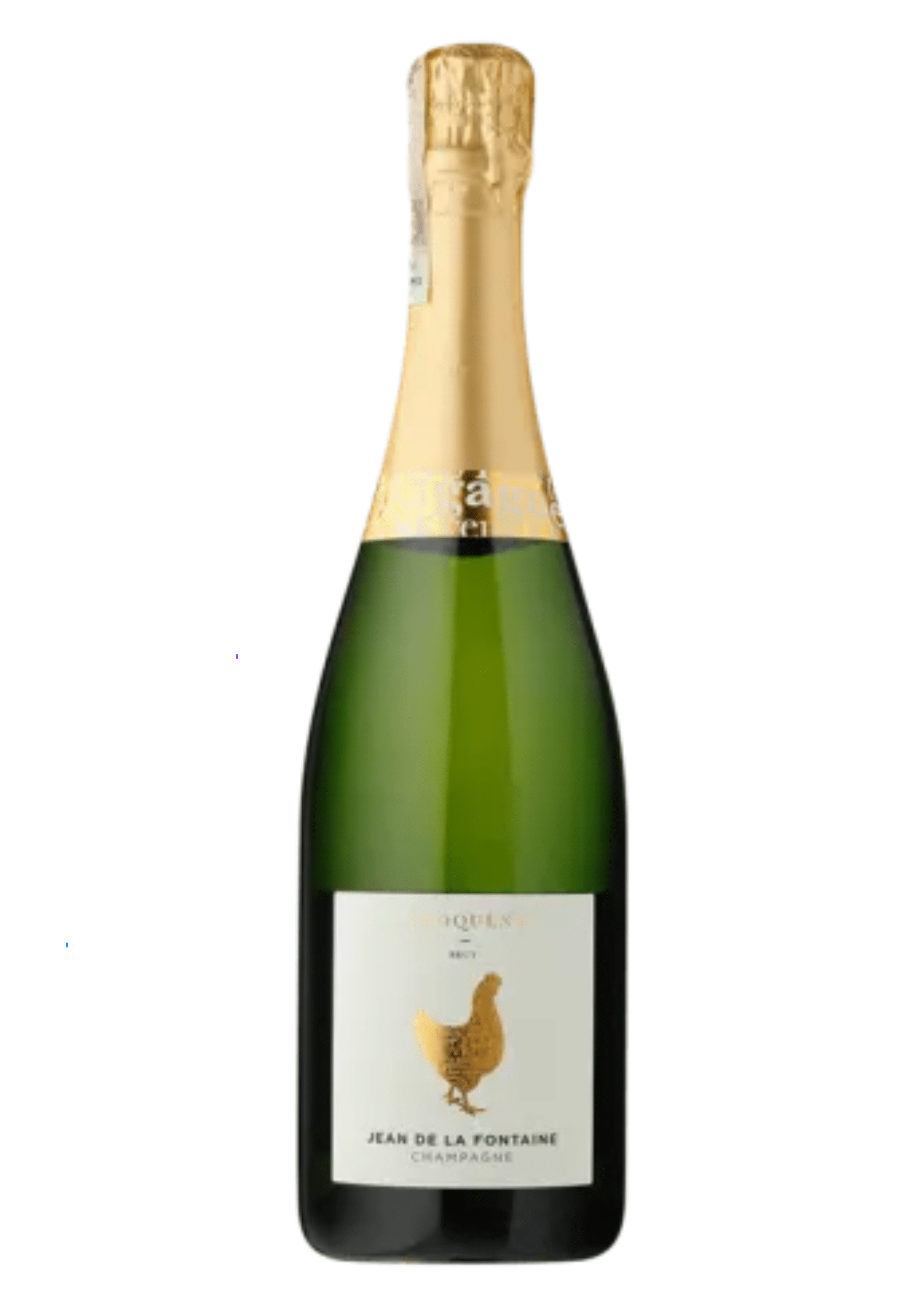 champagne_baron_albert_jean_de_la_foantaine_brut__2 Champagne Baron Albert Jean de la Fontaine “L'Èloquente” Champagne Brut