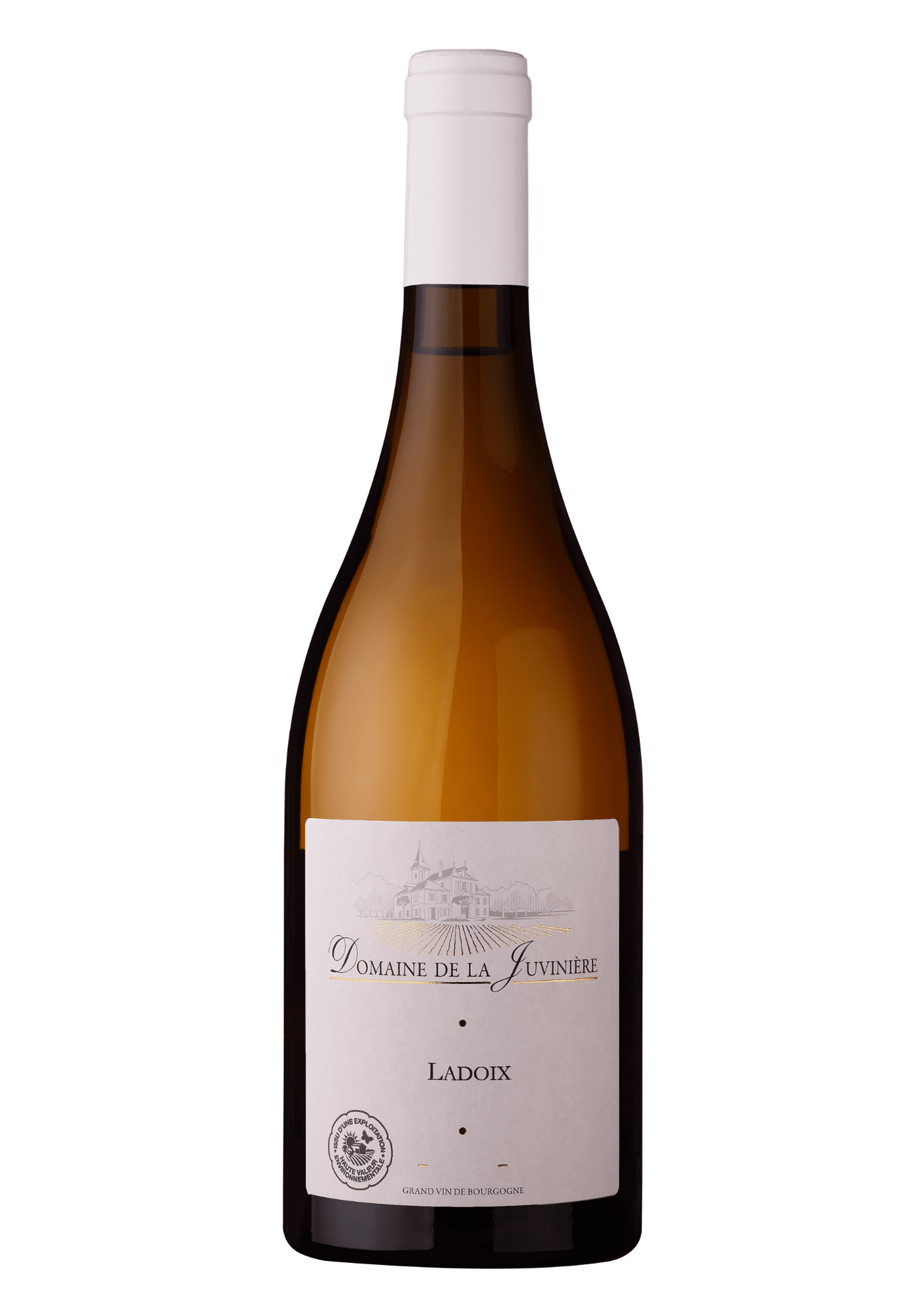 domaine_de_la_juvini_re_ladoix_bourgogne_2_ Domaine de la Juvinière Ladoix Bourgogne